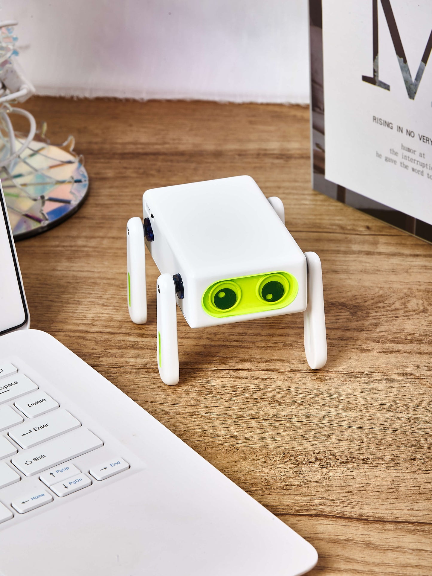 Get started with robotics: by build  a Chinese Kungfu robotic dog with your own hands in 20 minutes